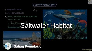 Saltwater Habitat