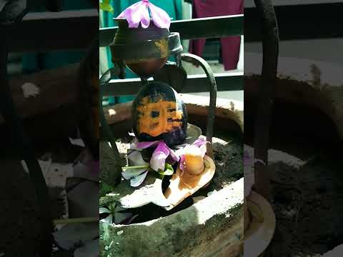 har har #mahadev😊😊🙏🙏🙏🙏