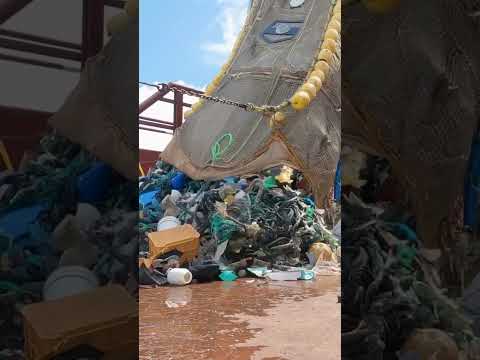 Record Catch: 11,353 kg of plastic out of the ocean #shorts