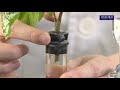 Air Bubble Potometer Procedures