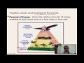 Ecological Interactions and Energy Flow