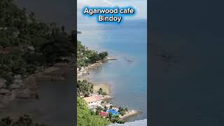 Agarwood cafe #vacation #mountainview #shorts