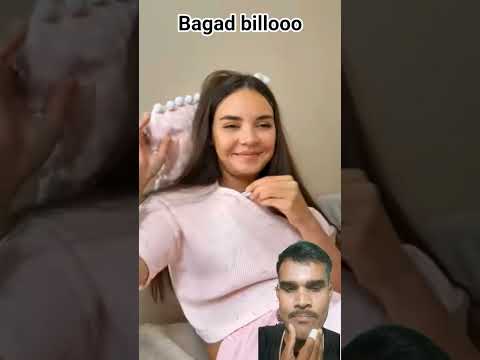 #cat #funny #cute #comedy #cats #amazingmemes #memes #animals #pets