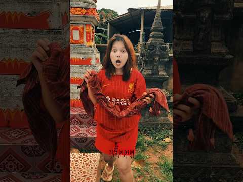ปิดตาท้าผีวัด (นกยูงเจอกับผีอะไร?!) ep:10