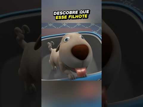 Homem faz de tudo para endireitar o rabo do seu cachorro 🐕🌟