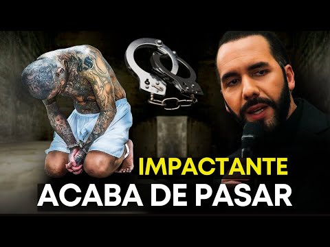 El SALVADOR HOY 6 de Enero 2025, Noticias de El Salvador 6 de Enero 2025, EL SALVADOR