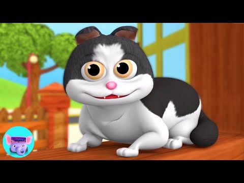 Meow Meow Billi Karti, म्याऊं म्याऊं बिल्ली करती, Kids Nursery Rhyme in Hindi