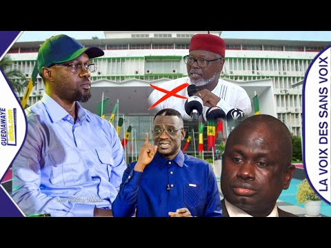 Sonko a l'assemblée : Seydi Gassama et Moundiaye Cissé prennent le contrepied d'Alioune Tine