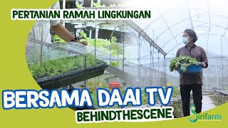 Kunjungan DAAI TV Behind the Scene "Pertanian Ramah Lingkungan" #DAAITV #hidroponik
