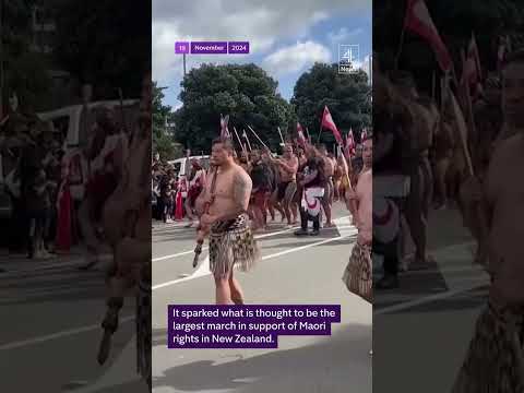 New Zealand MPs punished for Haka in parliament