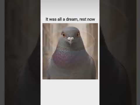 Rest now. #benjikplayz #brainrot #shorts