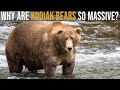 Kodiak Bear Facts and Characteristics