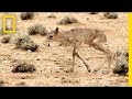 Conservation and Migration of Cers