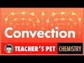 Exploring the Dynamics of Convection