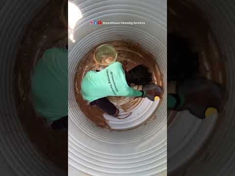 🥹1.9 Crore views♻️GreenHouse Deep Cleaning ASMR🤩 #GreenHouseASMR
