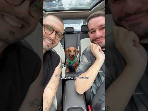 agora são duas véias dormindo sentadas 🤭 #vlog #familia #crechecanina #dog