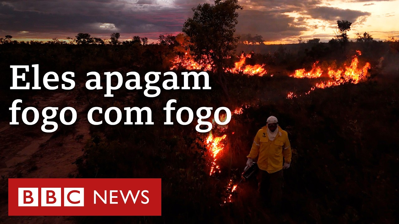 As queimadas que preservam a natureza usadas há séculos por quilombolas