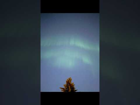 Northen Lights in 4th of July. #yeg #exploreedmonton #travelalberta #aurora