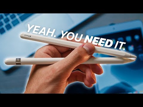 3 Reasons You NEED the Apple Pencil | iPadOS (2022)