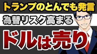 トランプとんでも発言　為替リスク高まる　ドルは売り