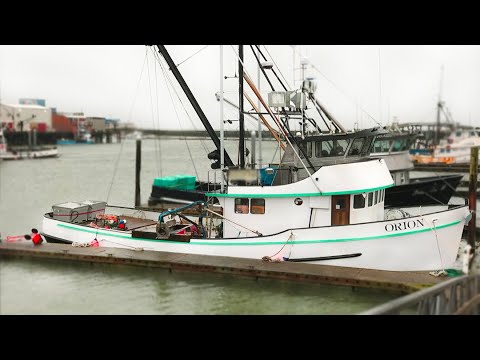 Stone Crab Business For Sale