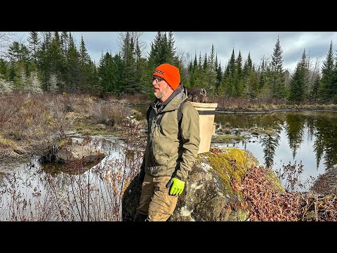 Saving Our Off-Grid Homestead from Beaver Destruction Before Winter’s First Storm