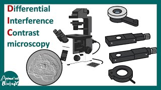 DIC microscopy | Differential Interference Contrast microscopy | Working principle and application