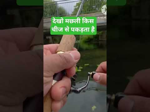 #love #unfrezzmyaccount मछली देखो कैसे पकड़ता है