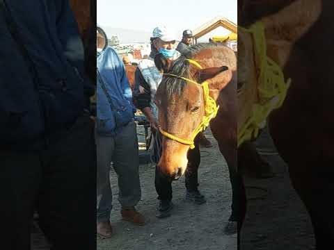 6 de febrero de 2026