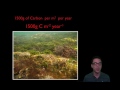 Marine Ecosystem Productivity and Processes
