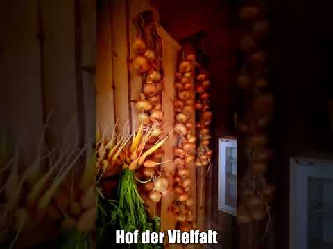 Neuer Laden am Hof der Vielfalt.