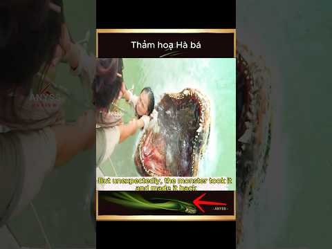 [Review Film] Thảm hoạ Hà bá