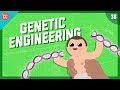 Genetic Engineering and CRISPR Concepts