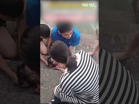 Chàng trai cố gắng cứu cô bé đuối nước đã ngừng thở, kỳ tích có xuất hiện? | Tinh Hoa TV