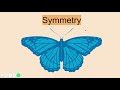 Exploring the Basics of Symmetry