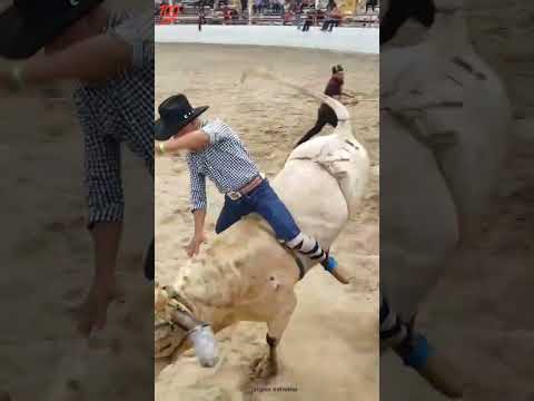 Jaripeo extremo 🇲🇽