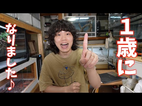 今日で1歳になりました♪