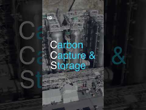 How cement could one day be carbon neutral | Transforming Business