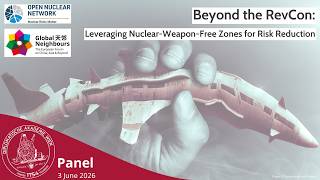 Beyond the RevCon: Leveraging Nuclear-Weapon-Free Zones for Risk Reduction