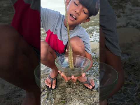 MASARAP NA KILAWIN SA DAGAT