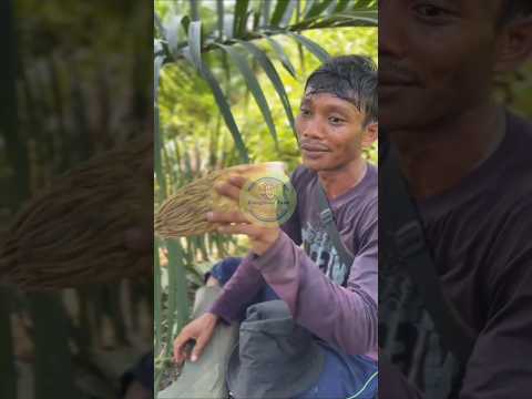 Baru tahu, ternyata bunga sawit muda bisa dimakan