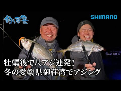 【釣り百景】#575 牡蠣筏で尺アジ連発！冬の愛媛県御荘湾でアジング