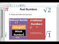 Exploring Rational and Irrational Numbers