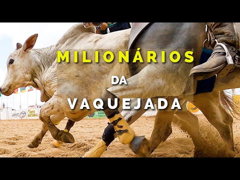 Os Vaqueiros Milionários da Vaquejada