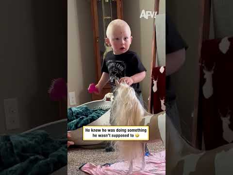 He knew he was doing something he wasn't supposed to ๐คฃ