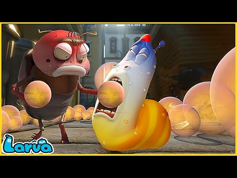 LARVA PHÁP SƯ - ẤU TRÙNG TINH NGHỊCH - PHIM HOẠT HÌNH LARVA MỚI NHẤT 2025
