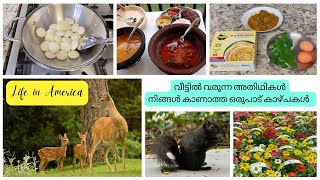 എന്റെ ഒരു ദിവസം | അമേരിക്കയിലെ നിങ്ങൾ കാണാത്ത കാഴ്ചകൾ | വീട്ടിൽ വരുന്ന അതിഥിയെ കാണാം |Day in my Life