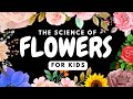 The Importance of Flowers in Nature