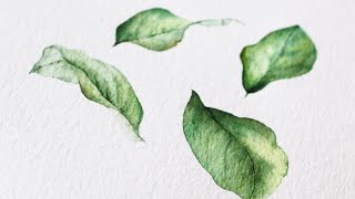 [베리현 수채화_무삭제 원본파일]초록잎 그리기1️⃣🌿Watercolor painting flower Watercolour tutorial green leaf 초보