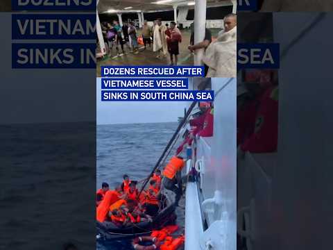 Dozens rescued after Vietnamese vessel sinks in South China Sea